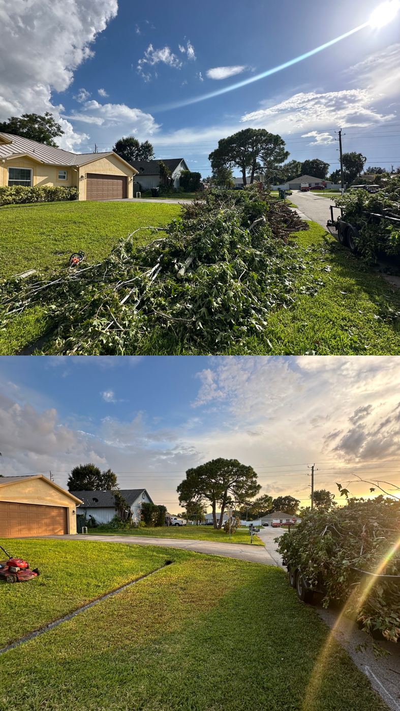 Trailer loaded with cleared branches and debris