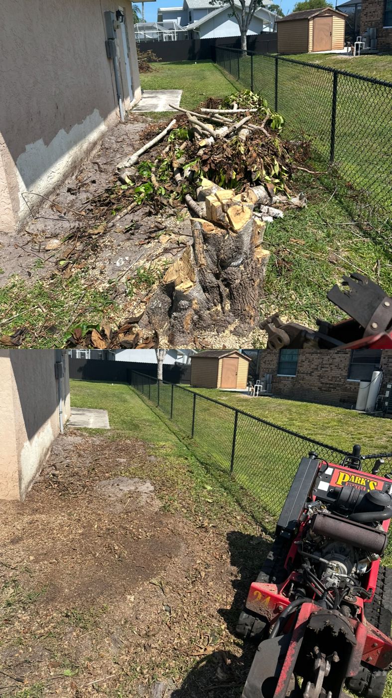 Large tree stump cut down and cleared along a backyard fence